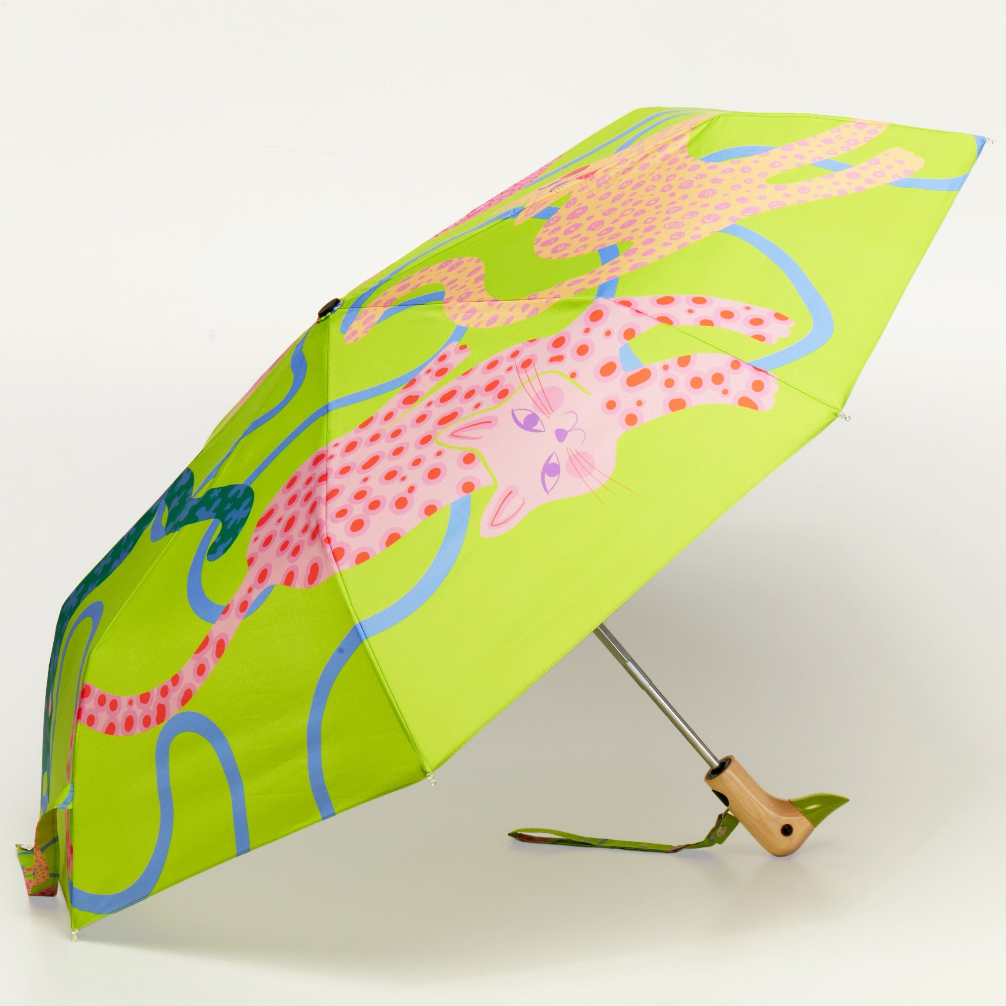 Colourful umbrella with cat design on a white background